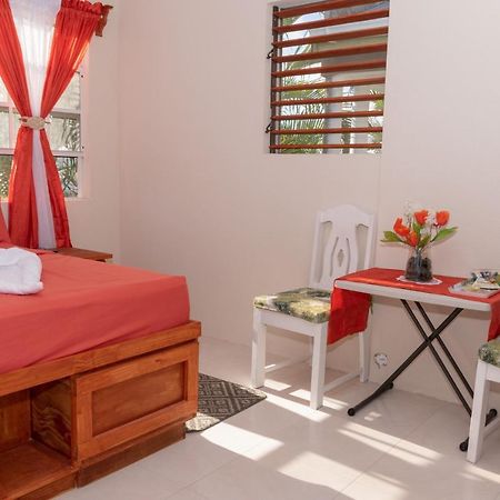 Edtricias Apartments Christ Church Luaran gambar