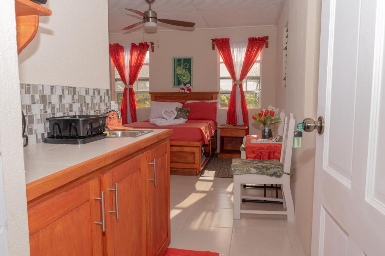 Edtricias Apartments Christ Church Luaran gambar