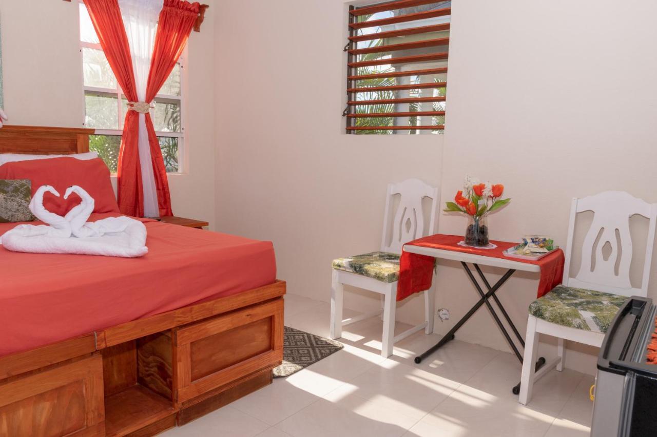 Edtricias Apartments Christ Church Luaran gambar